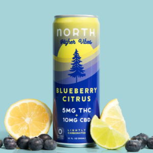 north higher vibes blueberry citrus 5mg thc/10mg cbd 6 can